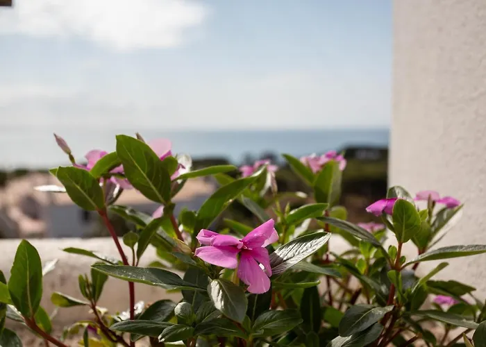 Coral By * Albufeira